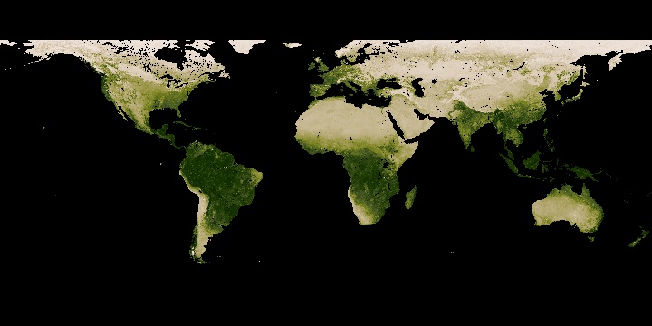 Vegetation analysis NDVI